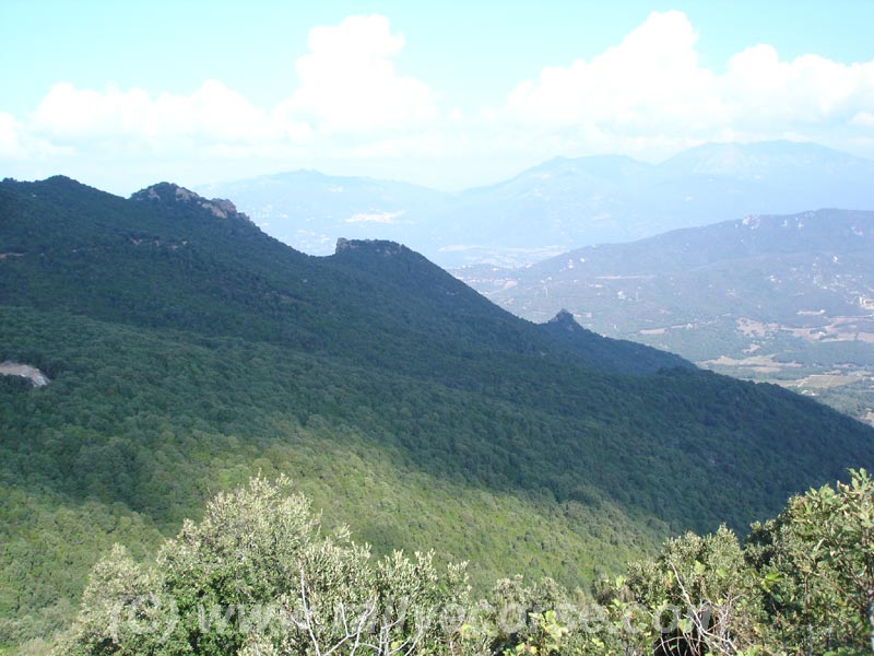 j1-077.jpg